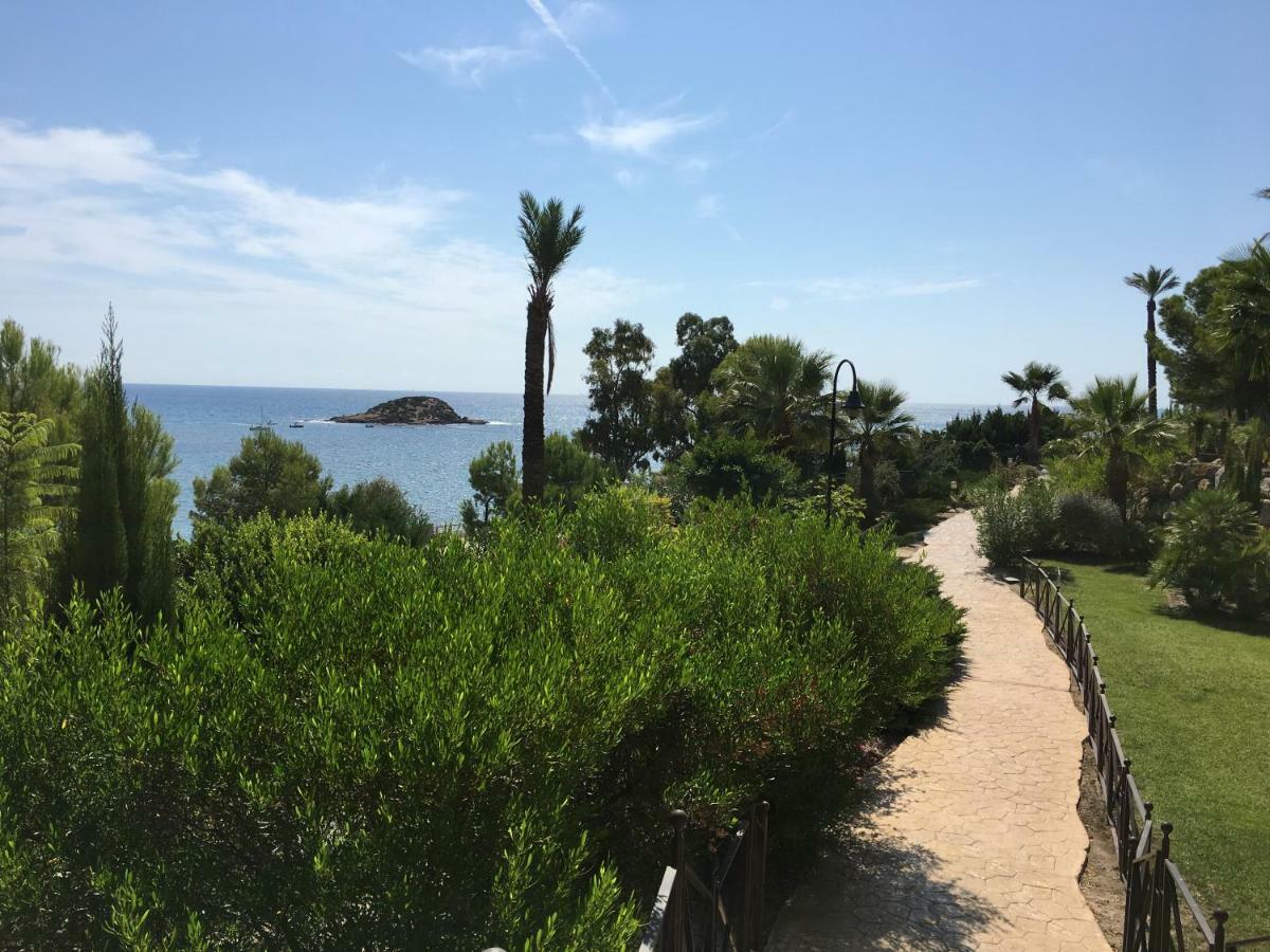 Apartamento Darwin Apartament Altea Zewnętrze zdjęcie
